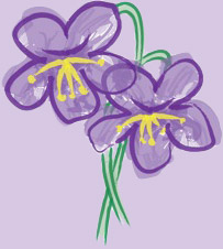 Pensive Weeds - Pennington, New Jersey Florist